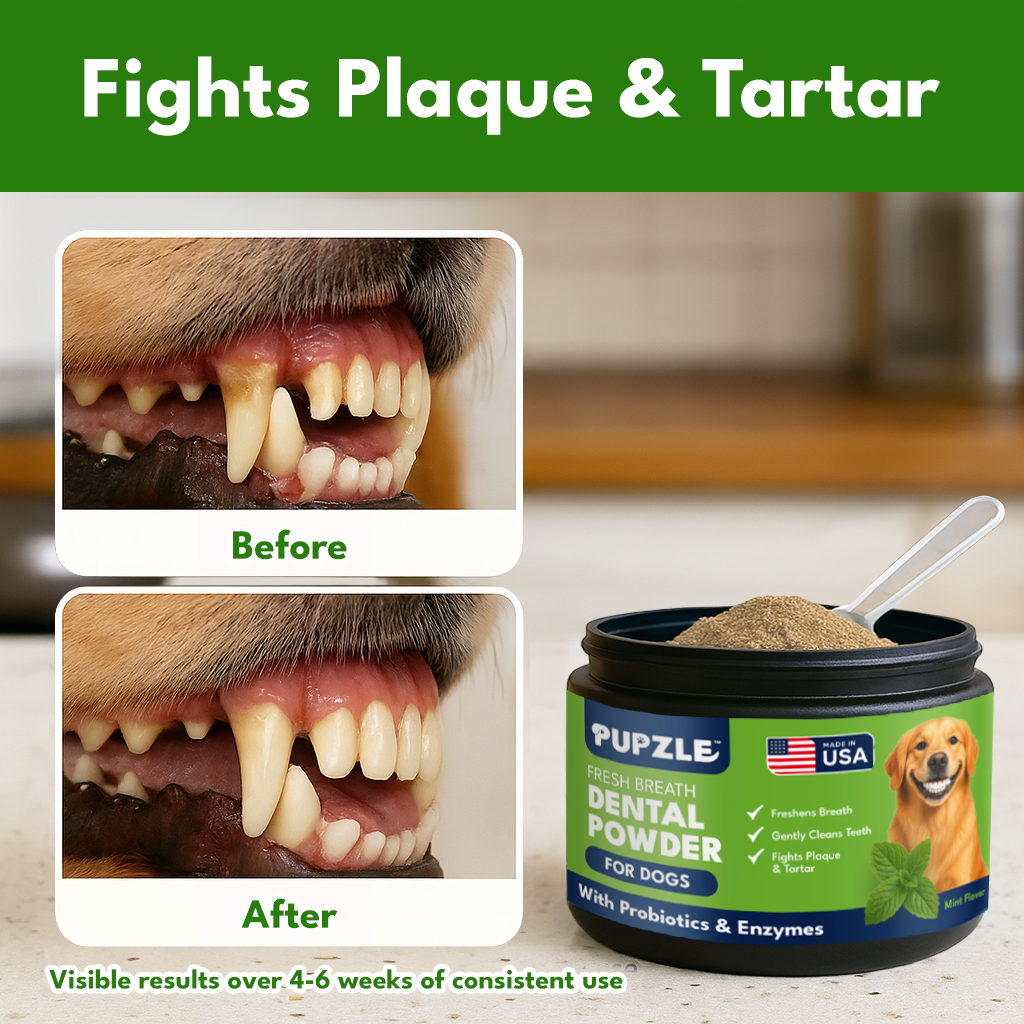 Pupzle Dog Dental Powder for Teeth Cleaning, Fresh Breath, Plaque & Tartar Removal
