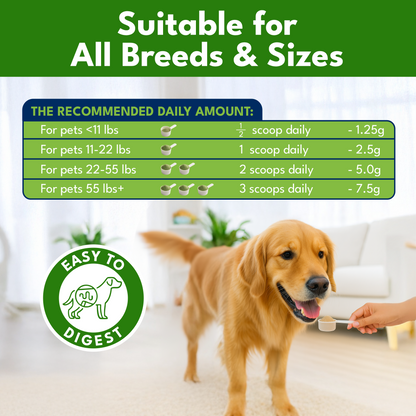 Pupzle Dog Dental Powder for Teeth Cleaning, Fresh Breath, Plaque & Tartar Removal